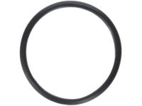 OEM Toyota Tundra Water Inlet Seal - 16325-62010