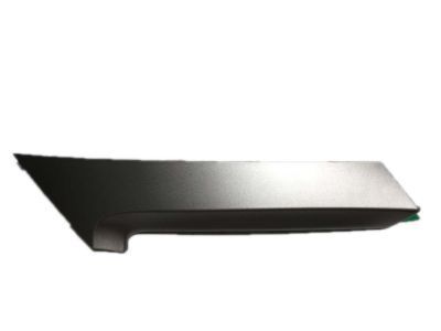 Toyota 74611-06040 Handle Cover