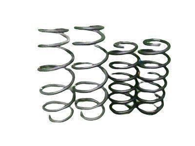 Toyota 48131-52A50 Spring, Coil, Front