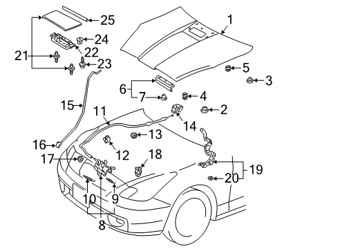 2005 Toyota Celica Hood & Components, Exterior Trim Release Handle Diagram for 53601-16020-22