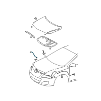 OEM Toyota Corolla Support Rod Diagram - 53440-12100