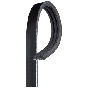 Gates Micro V V Ribbed Belt for Scion xB - K030334