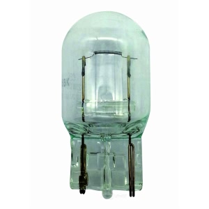 Hella 7440Ll Long Life Series Incandescent Miniature Light Bulb for Toyota Yaris - 7440LL