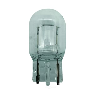 Hella 7440 Standard Series Incandescent Miniature Light Bulb for Toyota Prius V - 7440
