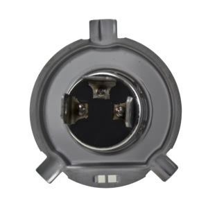 Hella H4 Design Series Halogen Light Bulb for Scion xD - H71070682