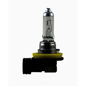 Hella H11P50Tb Performance Series Halogen Light Bulb for Scion xB - H11P50TB