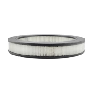 Hastings Air Filter for Toyota Pickup - AF502