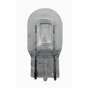 Hella 7440Tb Standard Series Incandescent Miniature Light Bulb for Toyota MR2 Spyder - 7440TB