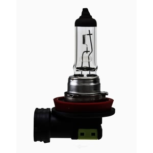 Hella H11Sb Standard Series Halogen Light Bulb for Toyota Tacoma - H11SB