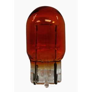 Hella Standard Series Incandescent Miniature Light Bulb for Scion xD - 7440A