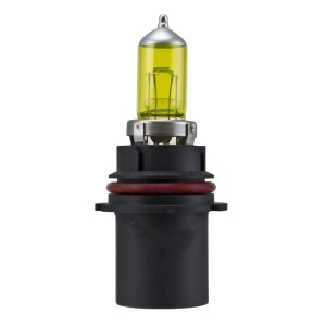 Hella Hb1 Design Series Halogen Light Bulb for Toyota 4Runner - H71070562