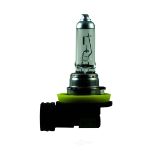 Hella H11P50 Performance Series Halogen Light Bulb for Scion iQ - H11P50